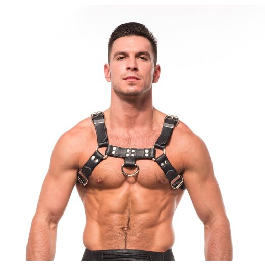 H Front Harness