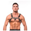 H Front Harness