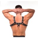 H Front Harness