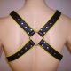 Body Harness yellow