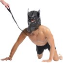 Doggie Hood and Leash